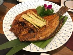 -紫滇源云南生态菜(丹凤街店)