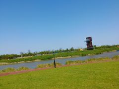 -春花秋色城市公园