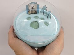 -彩虹桥宠物火化殡葬善终服务(金乐大厦店)