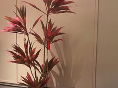 -老吉堂上海本帮菜(望京万象汇店)