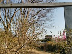 -永定门南广场