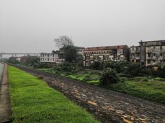 -三水森林公园