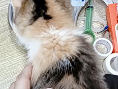 -荔康动物医院(康王北路店)