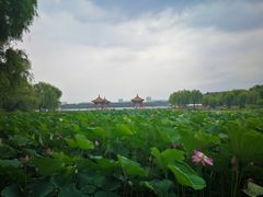 -长春市南湖公园