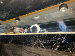 -红辣椒·川菜·火锅(大洋中心店)