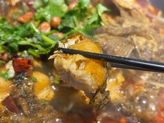 -眼镜哥浦江夜宵大本营