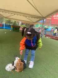 -萌宠亲子动物乐园(槐房万达店)