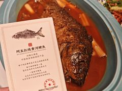 -阿五黄河大鲤鱼(英协路店)