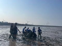 -黄海国家森林公园