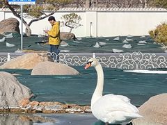 -罗红摄影艺术馆