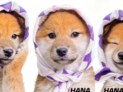 -HANA COFFEE(长寿路店)