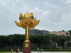 -金莲花广场