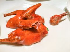 -茉里粤菜(皇姑万象汇店)