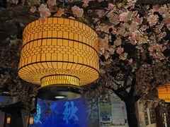 -绿茶餐厅(朝阳大悦城店)