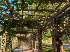 -北京张裕爱斐堡酒庄