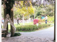 -鸡鸣赐茶(鸡鸣寺路店)