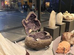 -浙江自然博物院(杭州馆)