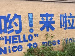-特克斯八卦城