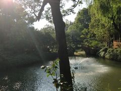 -上海醉白池公园