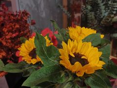 -花十悦·鲜花咖啡餐厅(振业城一期店)