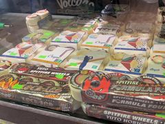 -VSP火山滑板极限公园