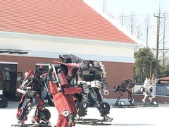 -上海长兴岛郊野公园