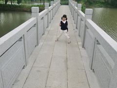 -长兴太湖图影湿地文化园
