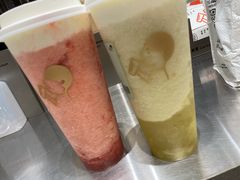 多肉玫珑瓜-喜茶(佛山顺德容桂天佑城店)