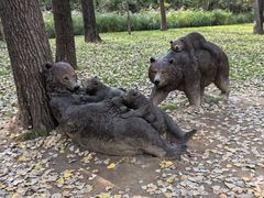 -秦皇岛野生动物园