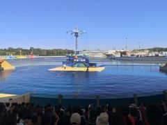 -秦皇岛乐岛海洋王国