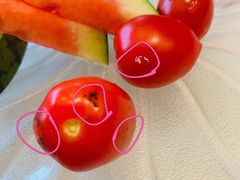 -颂福楼·南京菜(定淮门店)