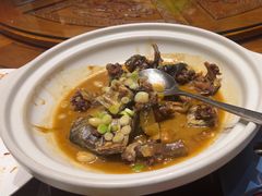 -沪碟·精菜坊(闵行店)