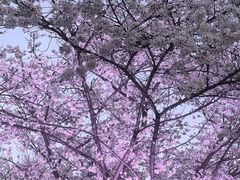 -虹口龙之梦购物中心·停车场