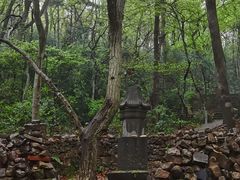 -紫金山山顶公园