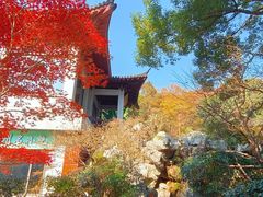 -雷峰塔·藕香居餐厅