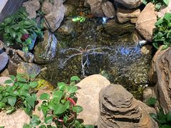 -清真·京华源铜锅涮肉(丰庆店)