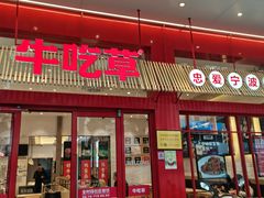 门面-牛吃草牛肉面(翠柏路店)