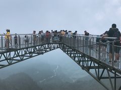 -梦幻奥陶纪景区