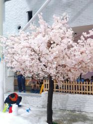 -Mr·Kuma酷么先生雪之乐园