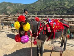 -陕西黄河壶口瀑布旅游区