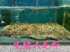 -欧记·龙城港(欣都店)