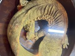 -印象鲵宴·张家界地标美食名片(溪布街店)