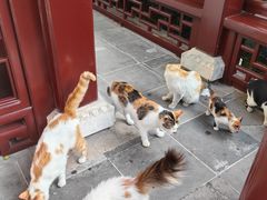 -檀园