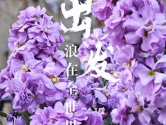 -河滨大楼