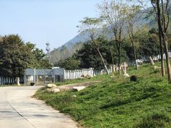 -西安秦岭野生动物园