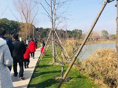 -昆山城市生态森林公园