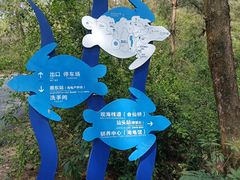 -广东惠东海龟国家级自然保护区