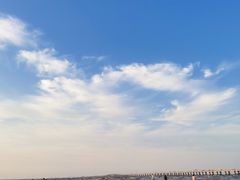 -南汇新城海滩