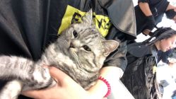 -飞梵造型