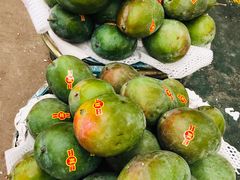 -鸿港海鲜批发市场